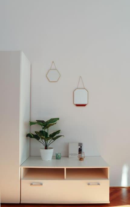 Appartement Modern In The Center Of